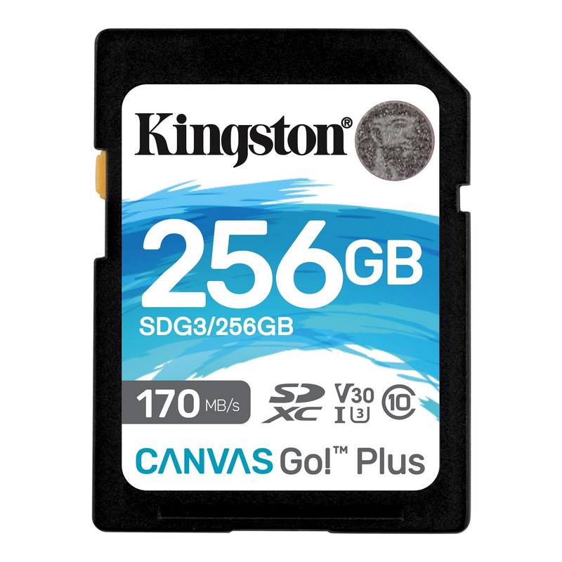 Memorijska kartica Kingston 256GB Canvas Go! Plus